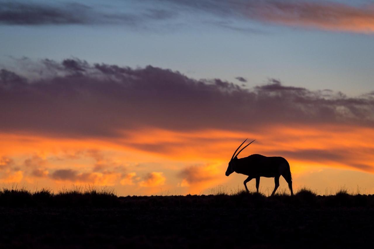 Wilderness Safaris Kulala Desert Lodge Sesriem Esterno foto