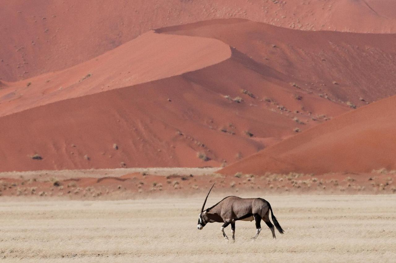 Wilderness Safaris Kulala Desert Lodge Sesriem Esterno foto