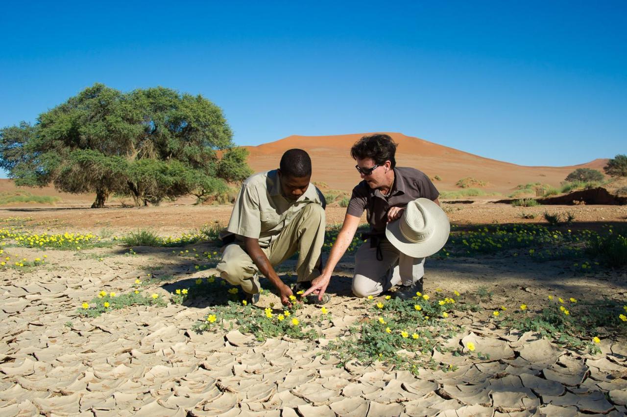 Wilderness Safaris Kulala Desert Lodge Sesriem Esterno foto